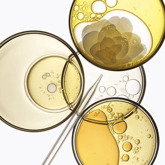Exosomes et Télomères : Comment ça marche ? - Mono Skincare