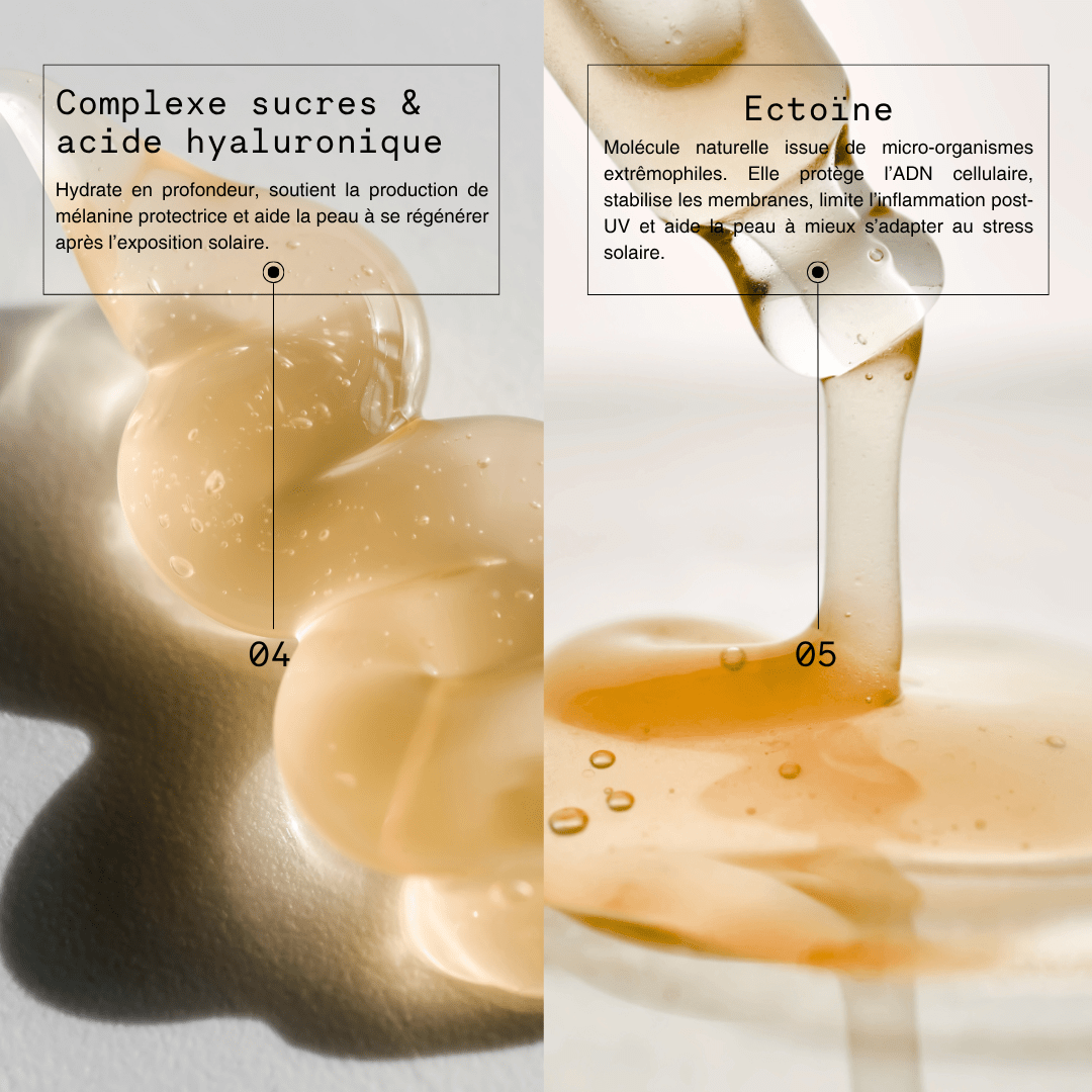 Titre illustrant une section dédiée aux ingrédients actifs de la brume protectrice Mono Skincare, mettant en lumière leur action protectrice, hydratante et réparatrice.