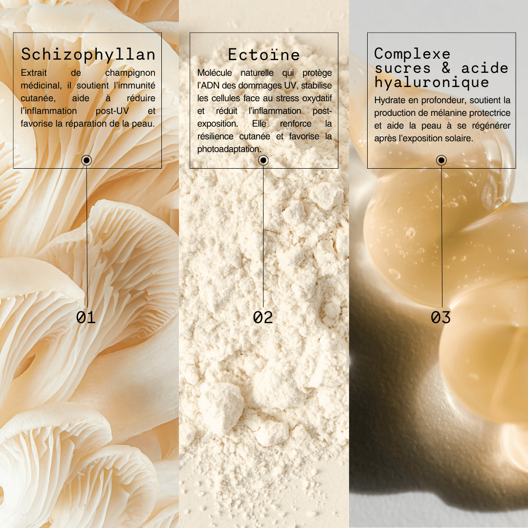 N°7 Recharge - Sun Defense - Mono Skincare