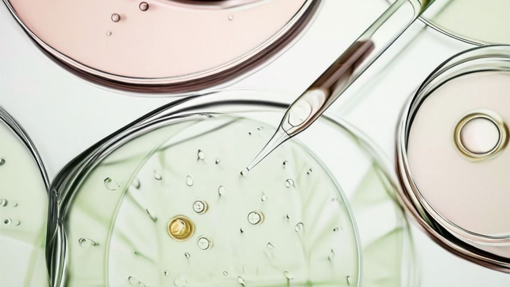 Soin visage sans parfum pour peau allergique : Guide de la dermo-cosmétique pure