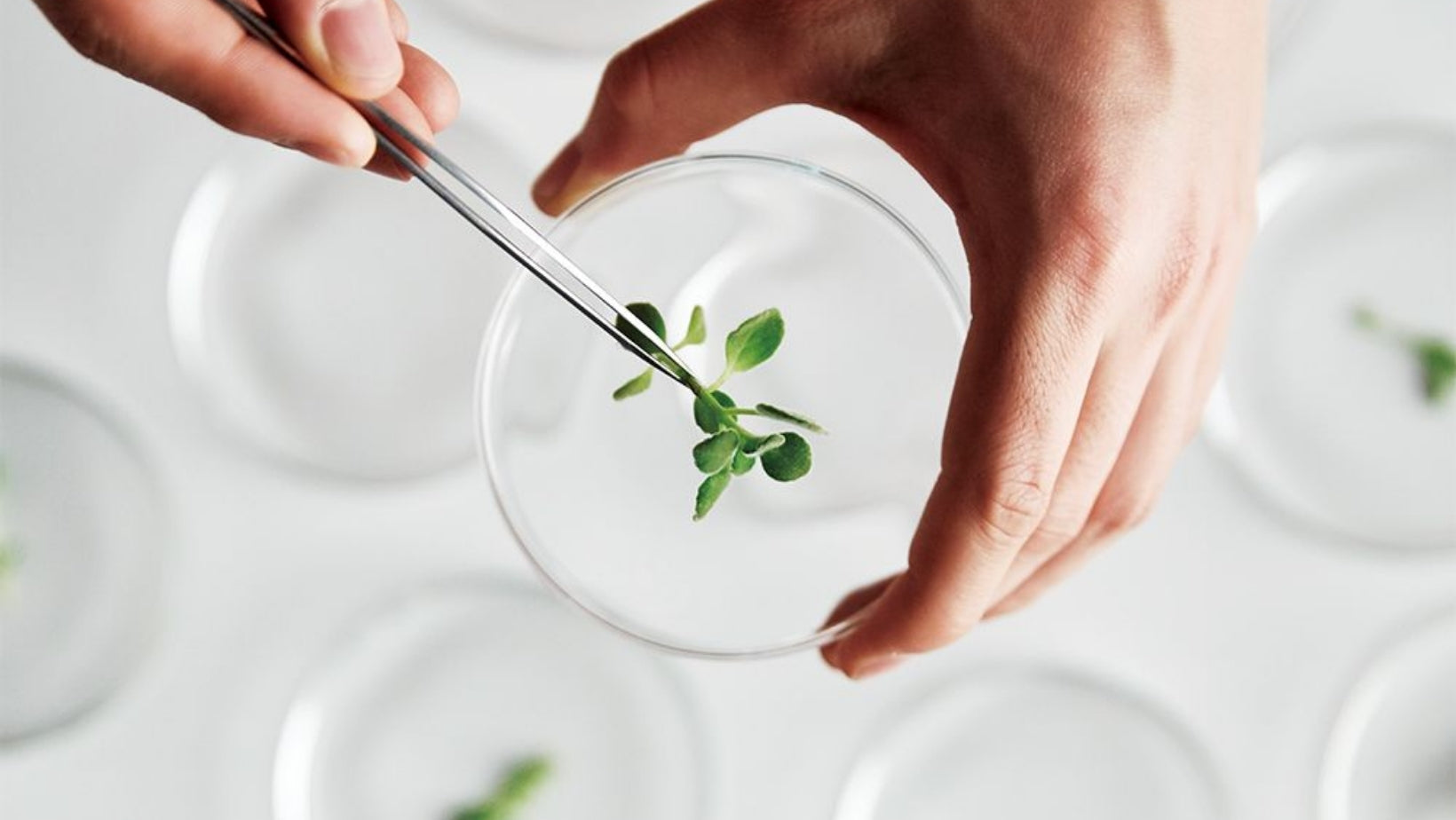 Marque de cosmétique éco-responsable : Le guide 2026 de la beauté durable et scientifique