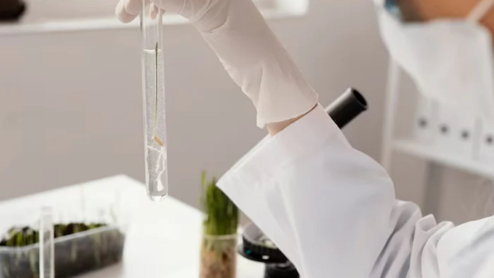 Avis soin visage en comprimé : L''innovation dermo-cosmétique de 2026 décryptée