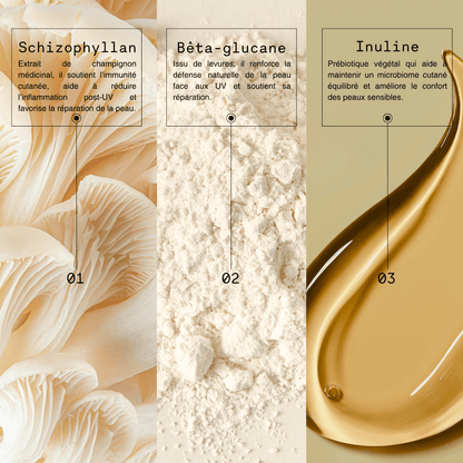 Titre de section pour une fiche détaillant les ingrédients actifs de la brume protectrice Mono Skincare, mettant en avant leur origine naturelle et leurs bienfaits pour la peau.